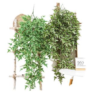 仿真绿植壁挂塑料假花藤条藤蔓室内植物墙面遮挡装饰吊兰摆设挂墙