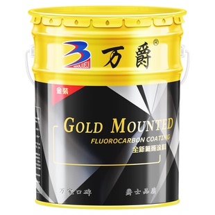 氟碳漆金属户外镀锌管专用不锈钢改色铝合金大门喷漆防腐防锈油漆