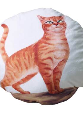 猫武士周边抱枕玩偶火星松鸦羽藤池狮焰抱枕橘猫狸花猫咪儿童礼物