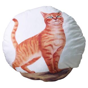 猫武士周边抱枕玩偶火星松鸦羽藤池狮焰抱枕橘猫狸花猫咪儿童礼物