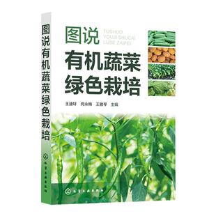 图说有机蔬菜绿色栽培 王迪轩 辣椒茄子番茄黄瓜等17种常见蔬菜 有机蔬菜生产农业新型经营主体参考 无公害蔬菜绿色蔬菜生产者参考