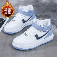 AJ22 University Blue Plus Velvet
