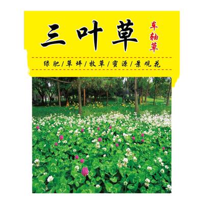 牧草海法绛红车轴四季白三叶草