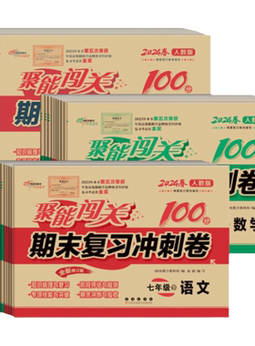 聚能闯关七年级数学下(华）
