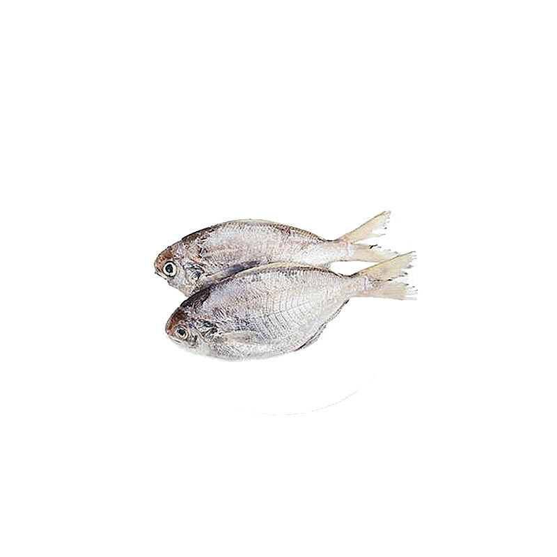 南鲳鱼肉鲳鲜活新鲜冷冻海鲜水产野生深海捕南仓鱼南昌肉昌鱼500g