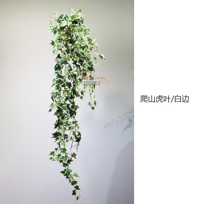 仿真爬山虎猪心叶葡萄叶壁挂藤蔓假绿植物墙角空调管道造景装饰