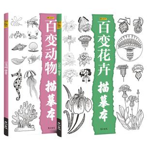 素材儿童手绘花卉动物素描临摹画册画画入门自学零基础初学者小学生控笔训练线稿描线画本教程铅笔描摹上色