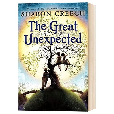 英文原版 奇妙的意外 The Great Unexpected儿童图书