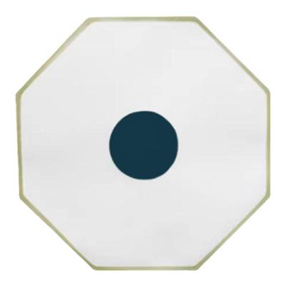 碟管式DTRO膜片垃圾渗滤液处膜片高压抗污染八角圆形膜片DTRO膜片