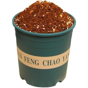 白玉兰专用土酸性有机土壤盆栽养花室内肥料透气家用通用的营养土