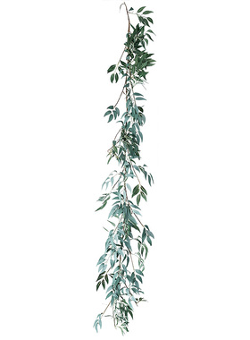 橱窗造景室内植物缠绕绿叶花藤