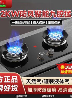 樱花山煤气双灶家用燃气灶嵌入式台式天然气液化气天燃气猛火炉具