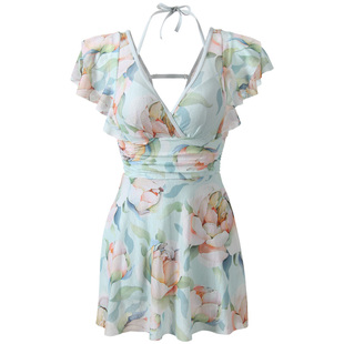 游泳衣女2026新款春连体遮肚绝美性感高级感连衣裙大码泡温泉泳装