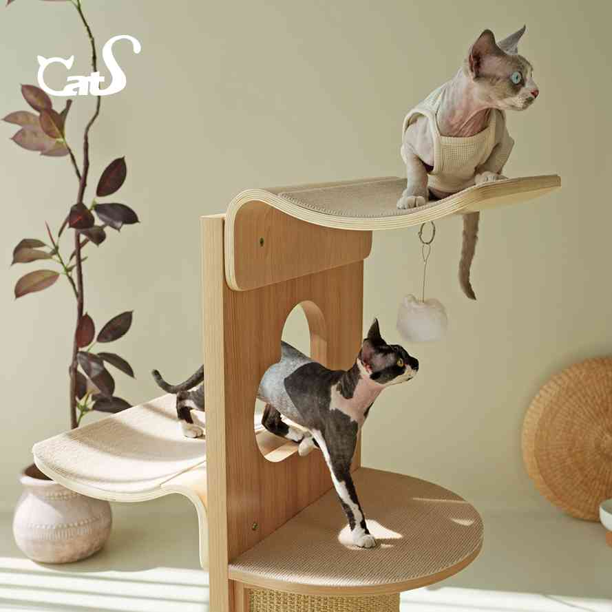 CatS梦心实木猫爬架人间烟火系列木制剑麻猫抓板曲木全体型猫通用