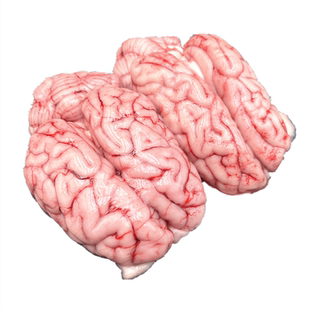 猪脑花 新鲜冷冻10副包邮 现宰鲜猪脑火锅猪花烧烤锡纸脑花猪脑浆