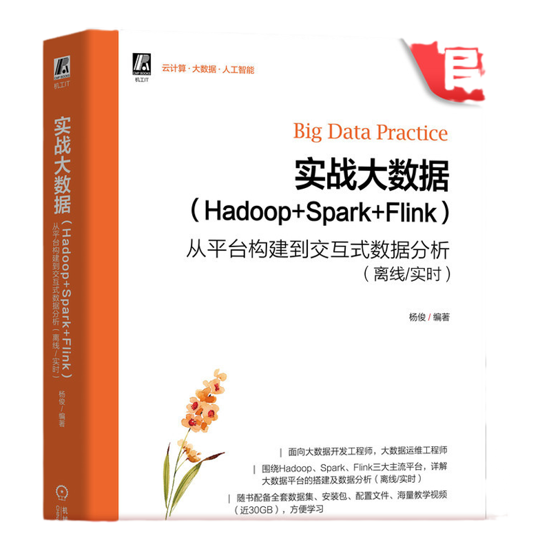 官网正版 实战大数据 Hadoop+Spark+Flink 从平台构建到交互式数据分析 离线/实时 杨俊 附赠30G教学视频