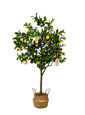 仿真植物柠檬树落地盆栽室内大型仿生绿植摆件客厅轻奢装饰花假树
