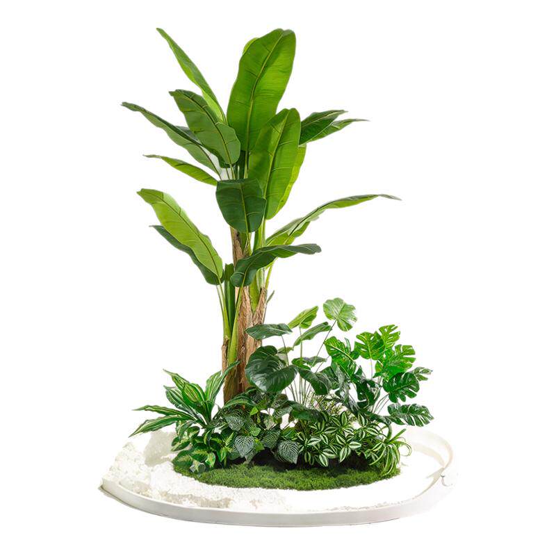仿真芭蕉树假绿植物造景庭院组合室内装饰服装店橱窗仿生配材景观