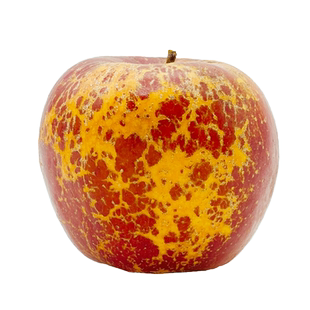 现摘丑苹果冰糖心正宗云南昭通红露新鲜孕妇水果当季整箱10斤包邮