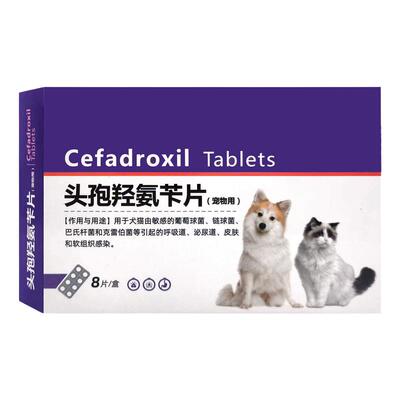 狗猫皮肤炎感冒药症尿道炎消炎药