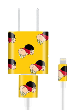 苹果充电器贴纸插头5w18/20w