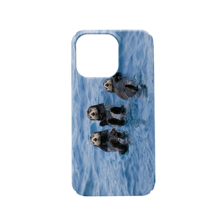 ins风可爱海獭适用于苹果17pro手机壳iPhone16promax个性15菲林14创意13小众11高级复古艺术感不会撞壳的简约