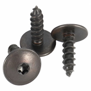 适用于10个装T20尖头螺丝钉