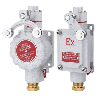 防爆行程开关DLXK/LX5-Z/L/B/D/H/N限位器触碰机械式微动限位开关
