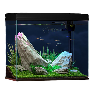 2025新款小型家用金鱼缸循环过滤制氧三合一体桌面客厅生态玻璃缸