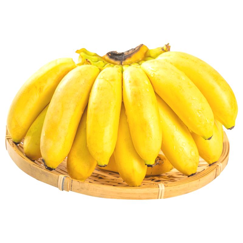 广西小米蕉当季新鲜水果9斤包邮整箱自然熟banana现摘苹果5粉香蕉