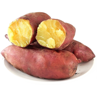 沙地黄心蜜薯中国大陆赤炎薯王