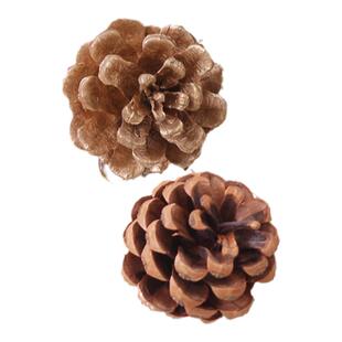 圣诞节装饰品金色圣诞松果干花圣诞树装饰挂件花环DIY小配件挂饰