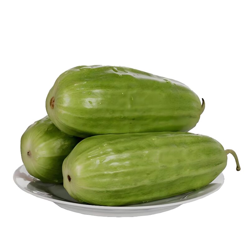 八棱脆瓜种子蔬菜种子