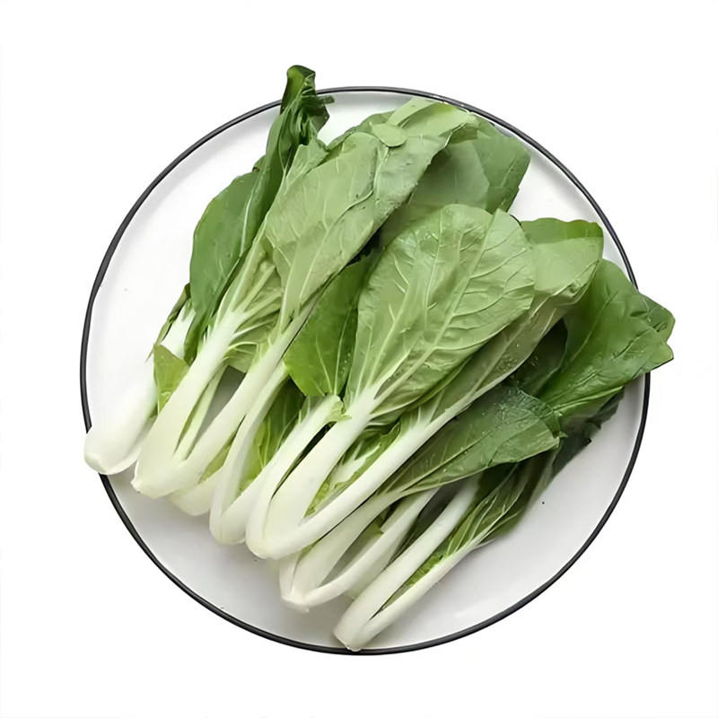 四季小白菜甜脆四季蔬菜耐热耐寒速生阳台青菜庭院盆栽快菜种籽子