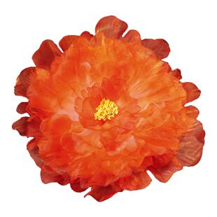 头花百搭写真配饰古风汉服头饰绢纱烫花牡丹发夹大朵顶夹唐风边夹