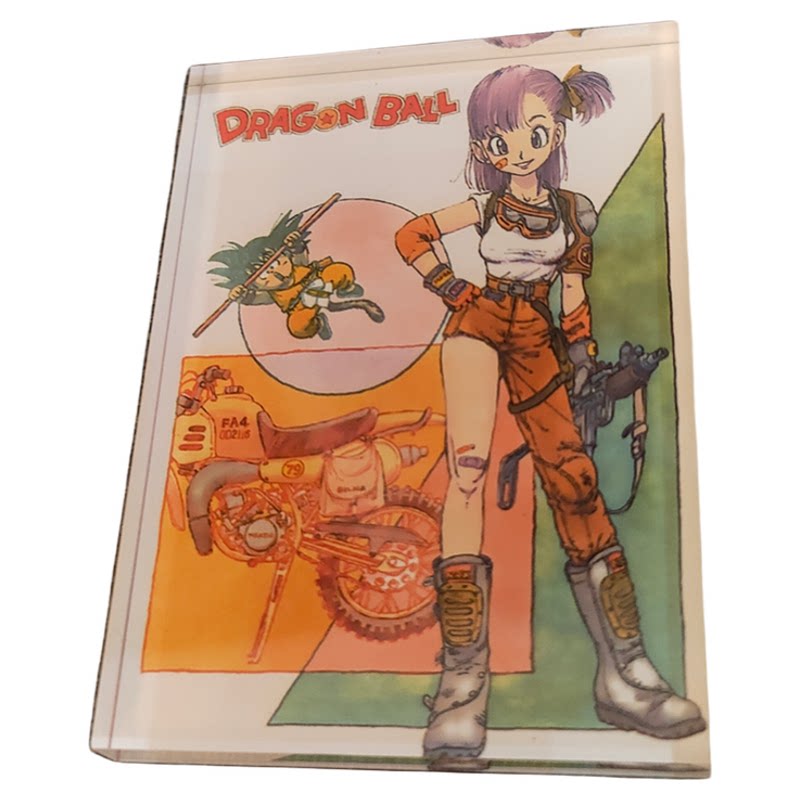 龙珠diy亚克力冰箱磁力贴