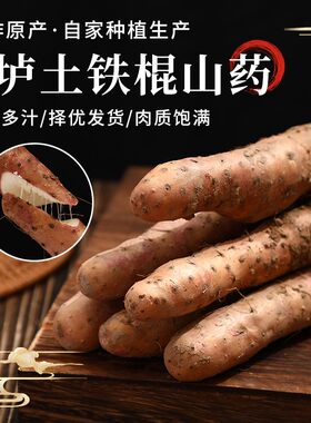 垆土西施2026河南焦作温县垆土铁棍山药营养农产品新鲜怀山药