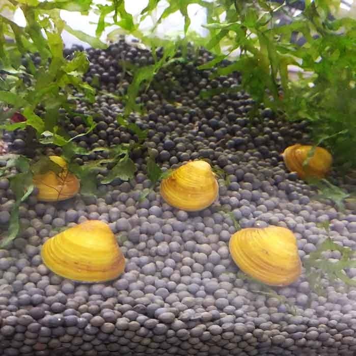 网友分享在meiguo.com的图片