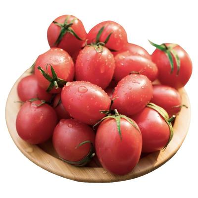 红圣女果餐厅沙拉拌菜可食用