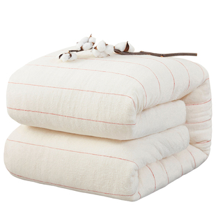 新疆长绒棉被一级纯棉花被子被芯棉絮床垫被褥子学生宿舍铺底冬被