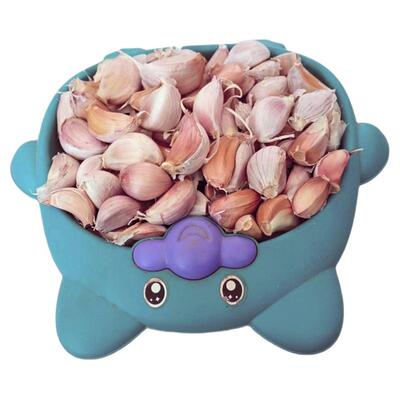 河南杞县紫皮大蒜瓣新鲜蒜瓣5斤