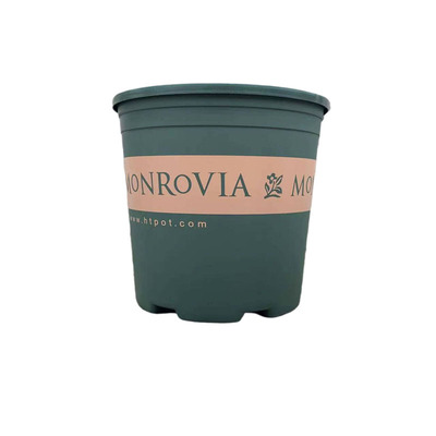 环球正品加仑盆树脂塑料控根矮胖