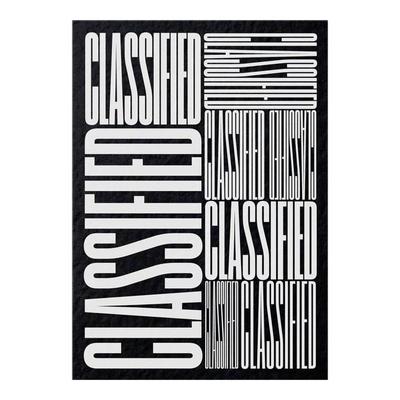 【预售】分类广告：美国南方小镇当地广告视觉实录英文平面设计广告包装设计进口原版图书Classified: Local Ads from America’s