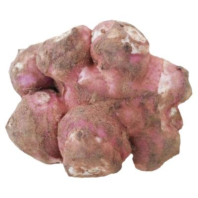 洋姜新鲜野菊芋现挖脆甜水果姜