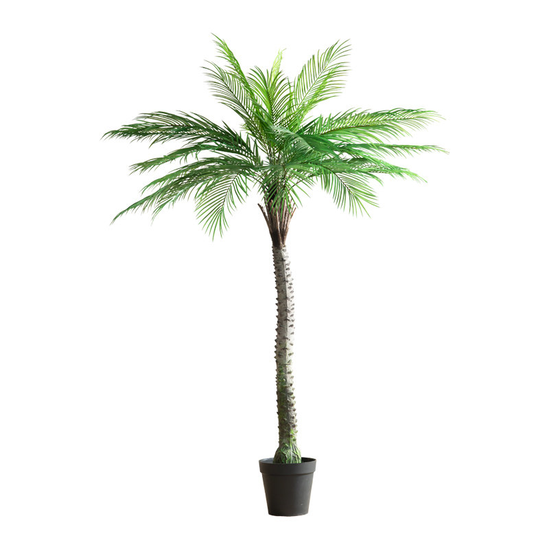 大型仿真植物绿植盆栽针葵椰子树