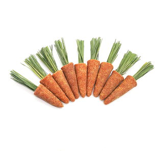 兔子磨牙提草小萝卜兔子磨牙零食龙猫豚鼠荷兰猪零食兔子磨牙玩具