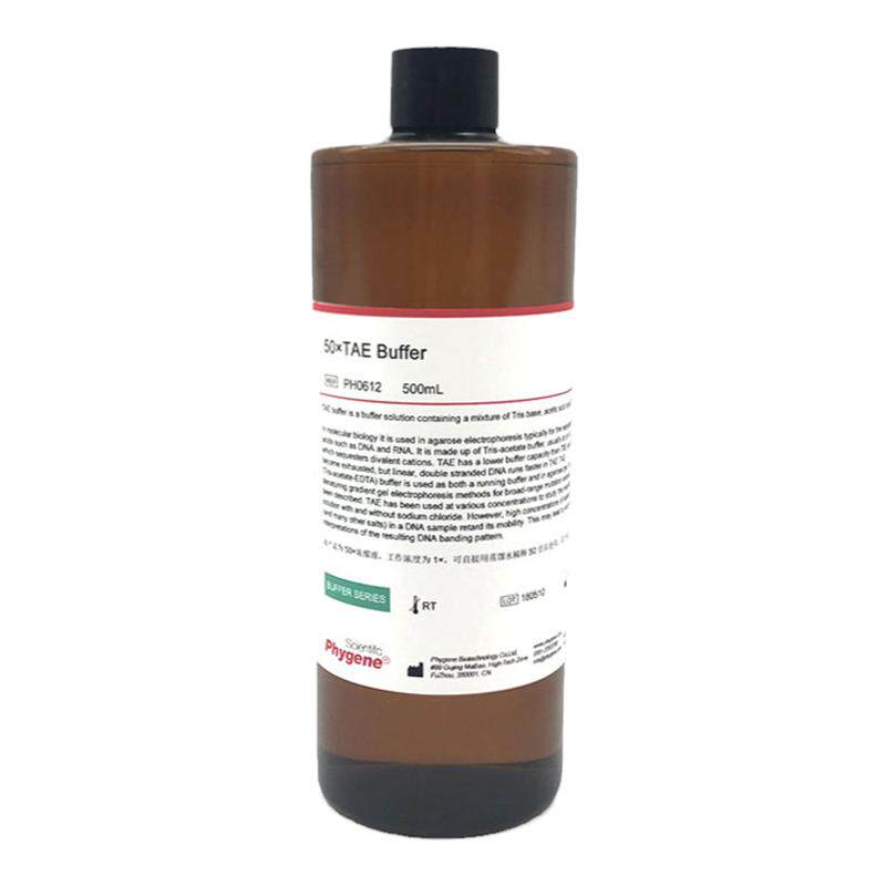 50×TAE Tris电泳缓冲液 50X TAE缓冲液 500mL [PH0612 PHYGENE]