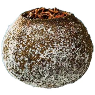 柑普茶小青柑头采陈皮普洱熟茶罐装花果香茶叶熟普黑茶礼品装陈年