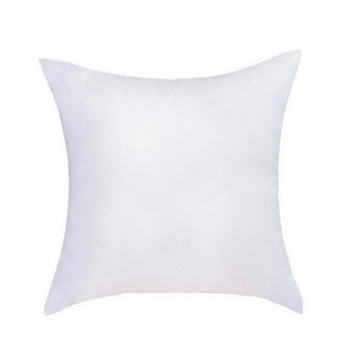 丑猫抱枕来图定制人物无白边定制印照片定做异形宠物枕头毕设靠枕