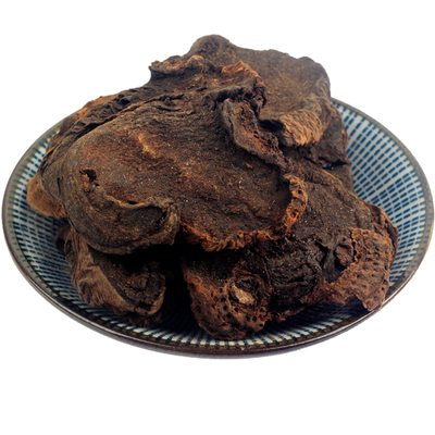 唐古特大黄炮制香气浓郁